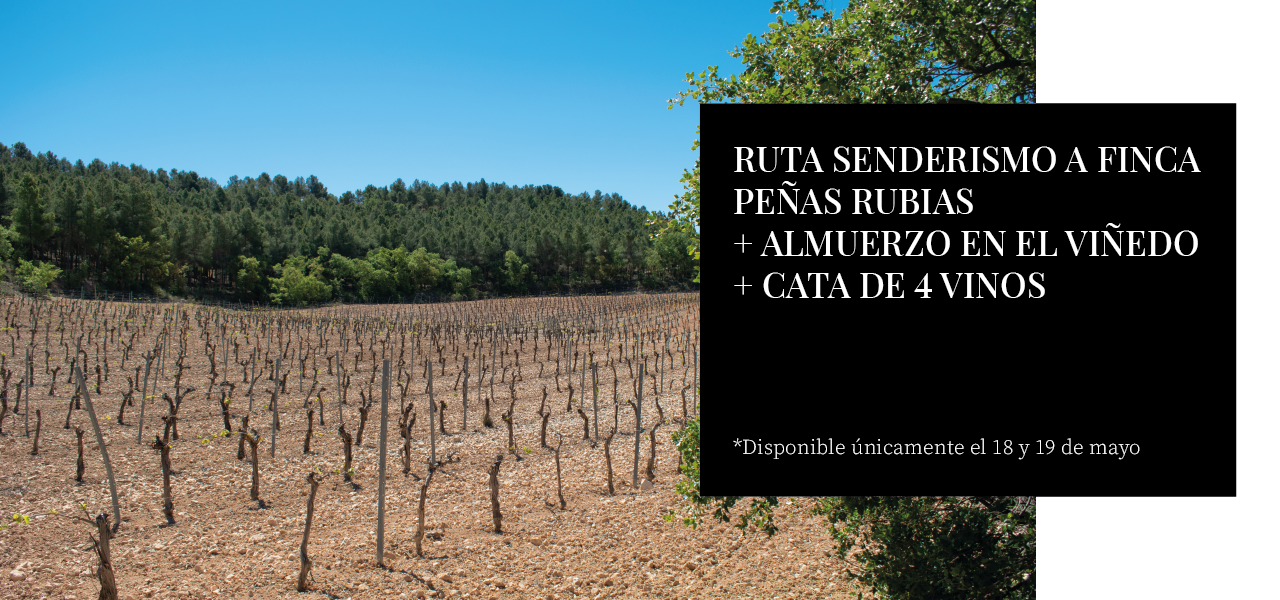 Visitas Bodegas Figueroa en Colmenar de Oreja cerca de Madrid - Visita con almuerzo en viñedo y cata de vinos