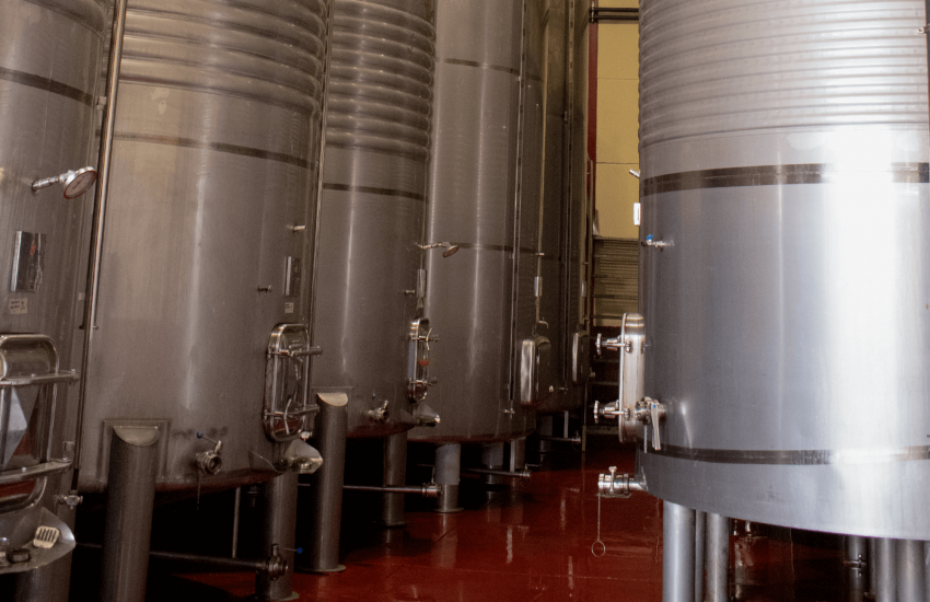 Visita a Bodega con Cata de Vinos cerca de Madrid